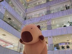 -凯德MALL(西直门店)