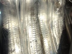 -江南村海鲜馆(洞头店)