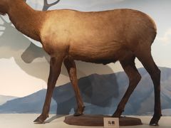 -陕西自然博物馆