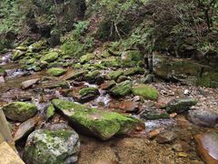 -本溪汤沟绿石谷森林公园