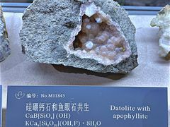 -中国地质博物馆