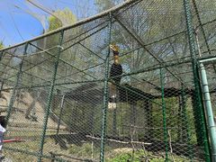 -哈尔滨北方森林动物园