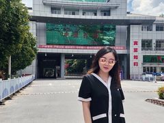 -打洛口岸