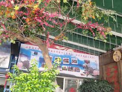 -小舅母子烤鱼(天生城店)