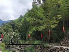 -林坑古村落
