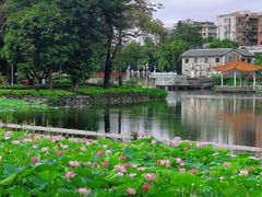 -荔湾湖公园