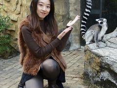 -灵玲国际马戏城