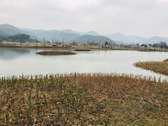 -东钱湖旅游度假区