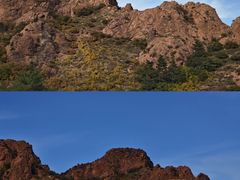 -红山国家森林公园