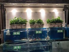 -惠丰堂饭庄·烤鸭·京味菜(西北旺·唐家岭店)