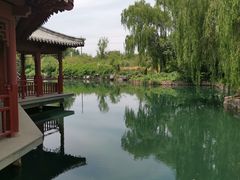 -百脉泉景区