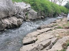 -羊山湖公园