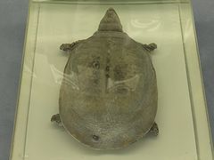 -浙江自然博物院(杭州馆)