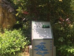 -广州白江湖森林公园