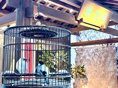 -31号公馆(黄兴广场白果园店)