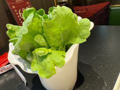 -南门四季铜锅涮肉(大屯·北苑店)