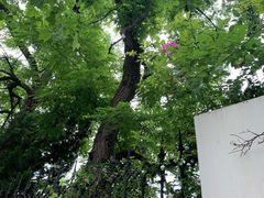 -中华人民共和国水准零点