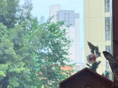 -流酥可心·牛乳蛋糕商店(禾祥西路店)