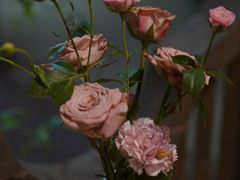 -The Flowers Coffee(南山店)