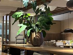 -太阳谷汤泉(市府店)