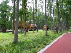 -黄海国家森林公园