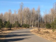 -东郊湿地公园