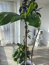 -HEYAN荷妍专业脱毛连锁机构