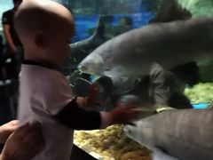 -成都浩海立方海洋公园