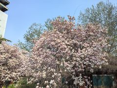 -中国政法大学(昌平校区)