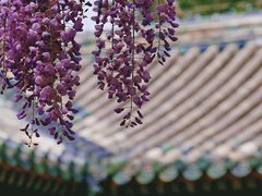 -北京国子监胡同