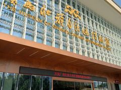 -广西壮族自治区博物馆