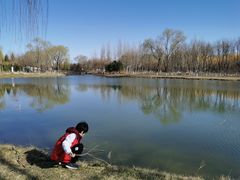 -大兴滨河森林公园