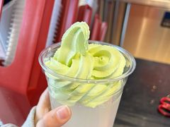 -萨朗刀克冰淇淋雪花凉(植物园店)