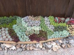 -木王宴语·野生鲜菌火锅(玉河店)