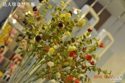 DSC_0094-DRG达人馆造型