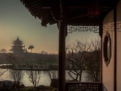 -上海海湾国家森林公园