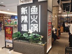 -新辣道鱼火锅(上地华联店)