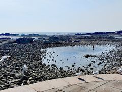 -海合安青岛极地海洋公园