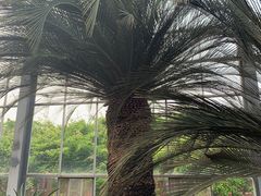 -南通洲际绿博园