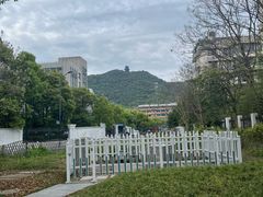 -杭州半山国家森林公园