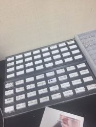 -Wisezone唯点穿耳打耳洞专业国际连锁品牌