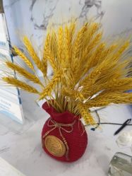 -上海漾颜医疗美容