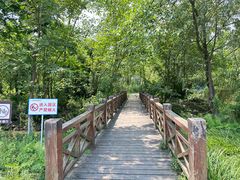 -桤木河湿地公园