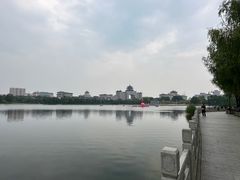 -莲花池公园