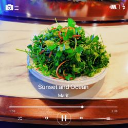 -鑫淼餐饮娱乐中心(江东街店)