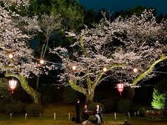 -名古屋城