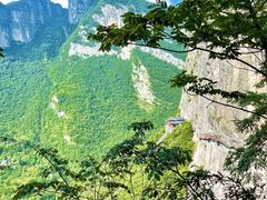 -鹿院坪生态旅游景区
