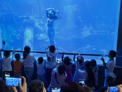 -太平洋海底世界