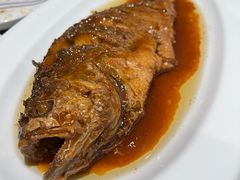红烧大黄鱼-燕春楼(海河华鼎店)