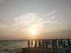 -宝安西湾红树林湿地公园